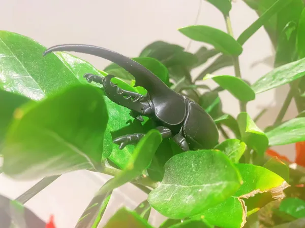 https://makerworld.bblmw.com/makerworld/model/US89403dccce2e7a/design/2025-07-25_044f9e465cbc88.jpg