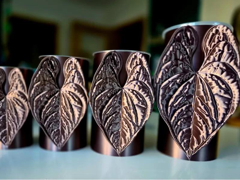 Anthurium Luxurians self watering pot