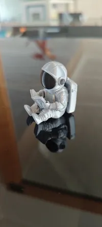 2 colours 0.12mm layer, 2 walls, 7% infill