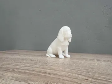 Modelo para impresión 3D: English Cocker Spaniel - Puppy - Dog — vista de referencia 5