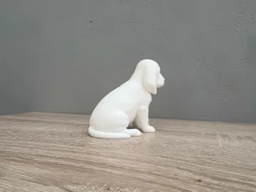 Modelo para impresión 3D: English Cocker Spaniel - Puppy - Dog — vista de referencia 4