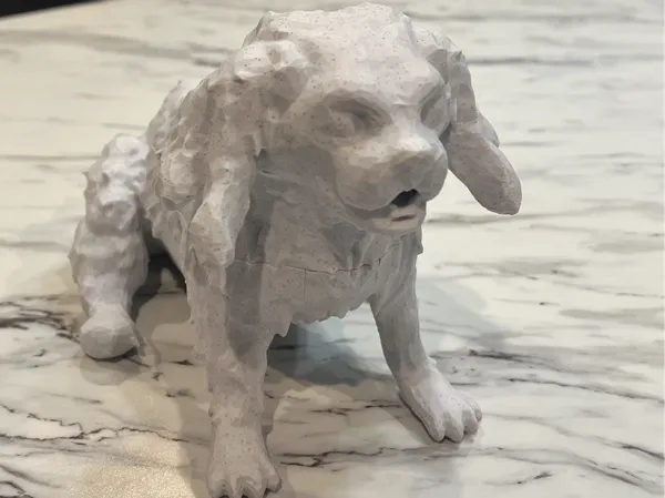 https://makerworld.bblmw.com/makerworld/model/US894bc748e8e0d7/design/2024-11-01_ce5e2b6713348.jpeg