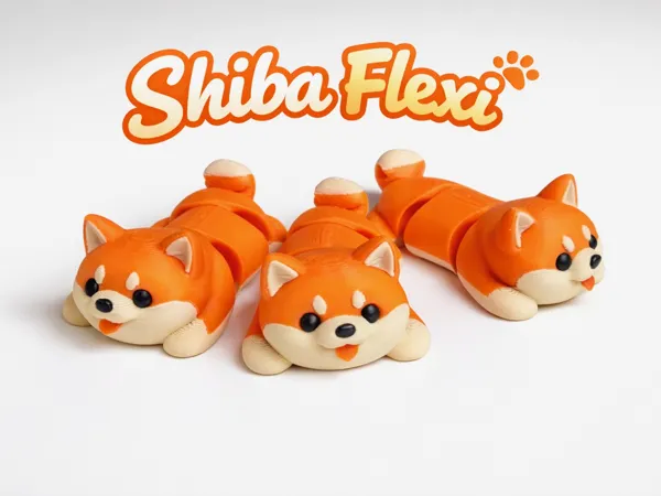 https://makerworld.bblmw.com/makerworld/model/US894f30d379db7/design/920c1478b5644dc1.jpeg