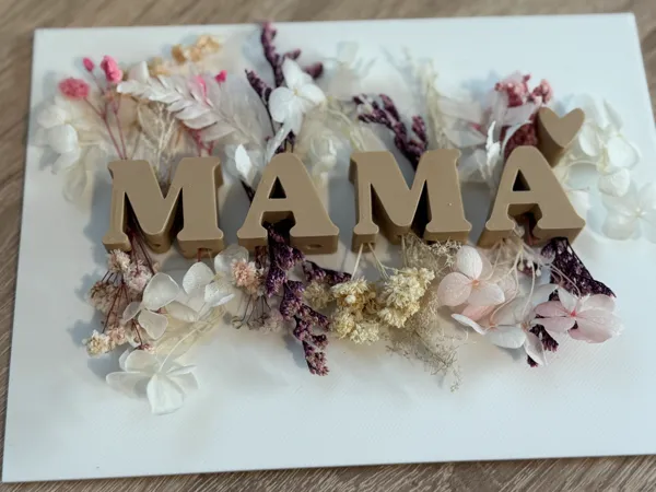 https://makerworld.bblmw.com/makerworld/model/US895081467af8bd/design/2025-03-22_760385463c035.jpg