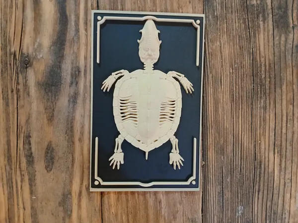 https://makerworld.bblmw.com/makerworld/model/US895a1c561f7dca/design/7fd00b4d7bd9723e.jpg