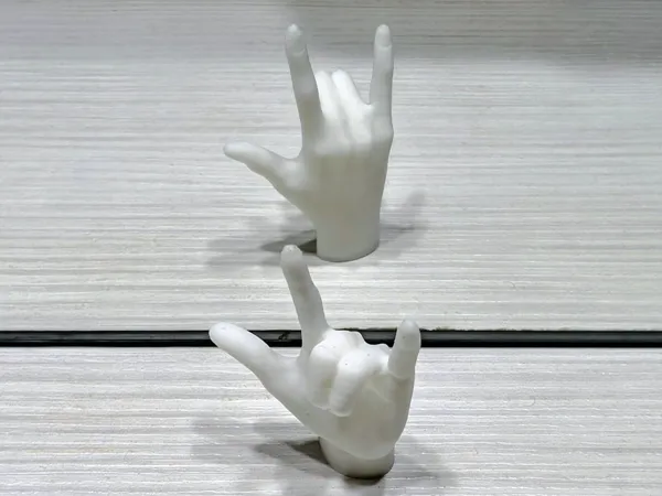 https://makerworld.bblmw.com/makerworld/model/US895e0b1ee697d9/design/f69cb1571ca1ae43.jpg
