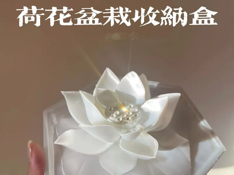 荷花盆栽收纳盒