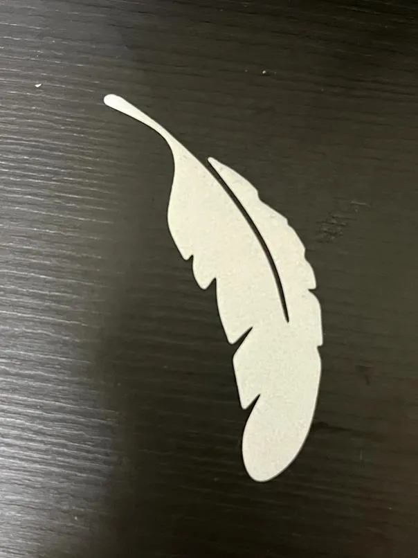 羽毛裝飾品