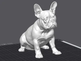 French Buldog