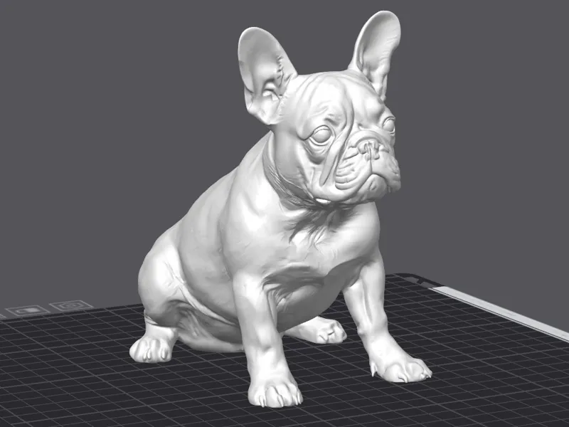 French Buldog