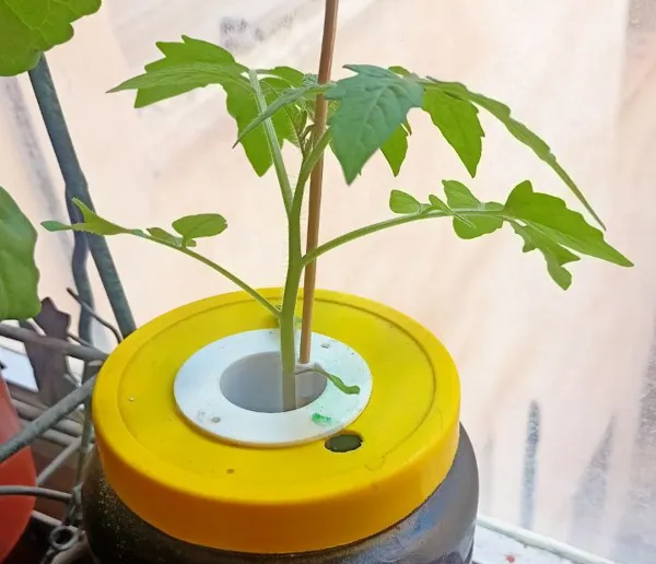 https://makerworld.bblmw.com/makerworld/model/US89769feba725c1/design/2024-05-22_bac9d49f9920c.jpg