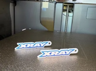 Xray Keychain