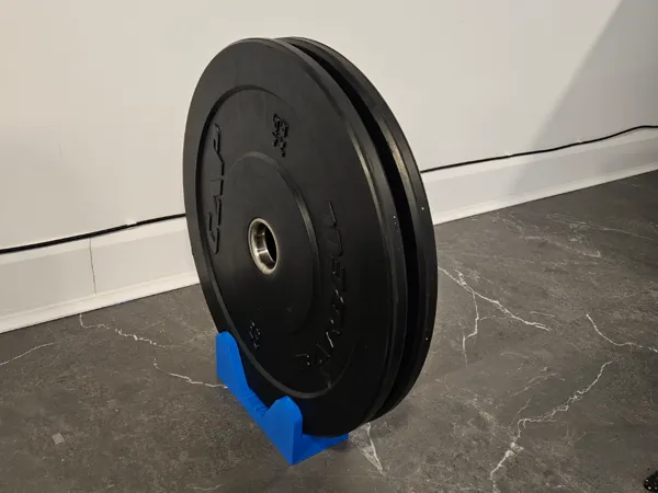https://makerworld.bblmw.com/makerworld/model/US897846685b0137/design/2025-01-27_6addae7e4b05d.jpg
