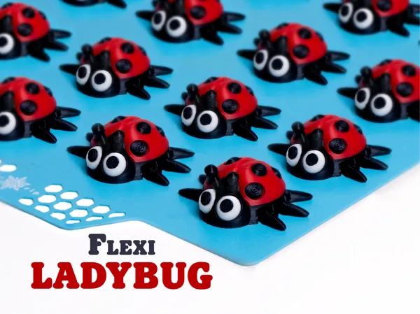 https://makerworld.bblmw.com/makerworld/model/US89821c8f2a283e/design/d77996fba0556384.jpg