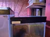 5.5g Lid - 0.2mm layer, 2 walls, 15% infill