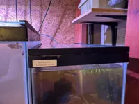 5.5g Lid - 0.2mm layer, 2 walls, 15% infill