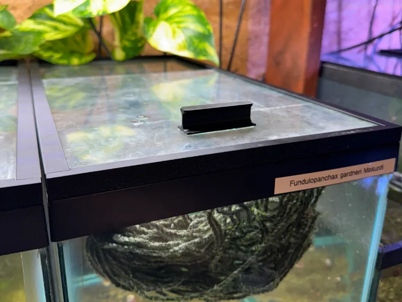 DIY Sliding Glass Aquarium Lid (no glass cutting!)