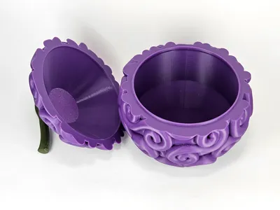 Devils Container Box Devils Fruit Secret Container Gomu Gomu -One Piece by 3D Senju ...