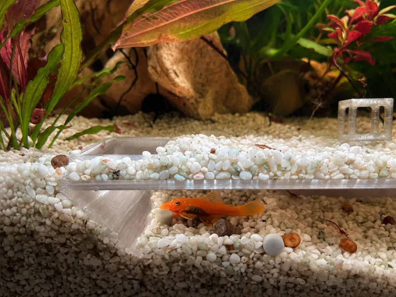 Cueva de acuario peces de fondo | Bottom Fish Cave