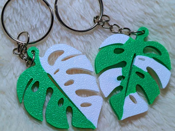 https://makerworld.bblmw.com/makerworld/model/US898bead819ff8f/design/b906b7ba4c528a46.png