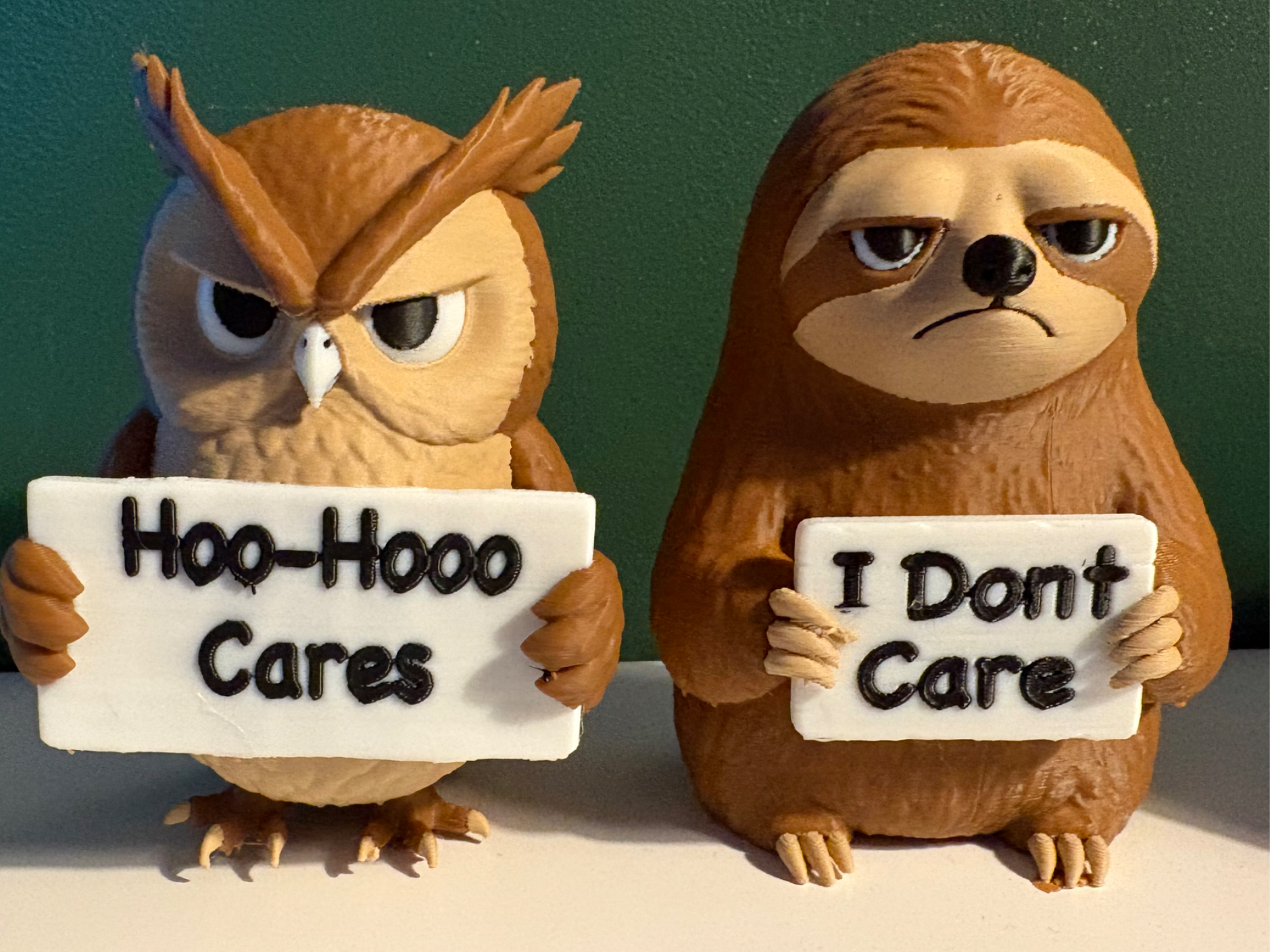 Cute but Grumpy Owl