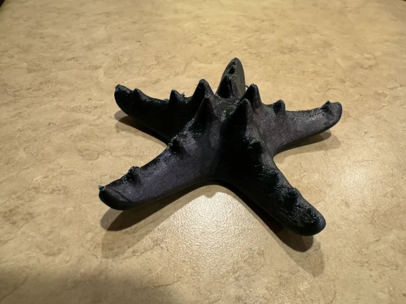 Starfish Decoration