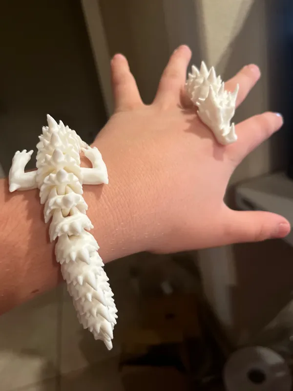 https://makerworld.bblmw.com/makerworld/model/US8992f8f863db5c/design/2023-12-29_7d04ac32a128b.jpg