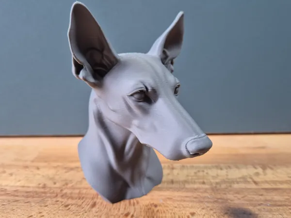 https://makerworld.bblmw.com/makerworld/model/US89946cc41dca4b/design/2025-05-25_95041293d4cdf8.jpg