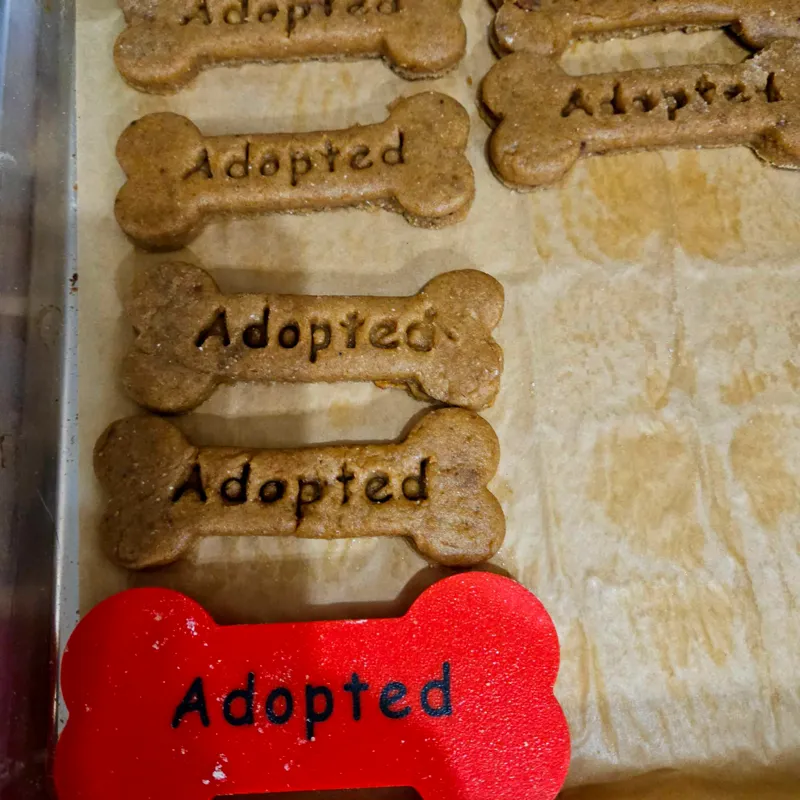 "Adopted" Dog Bone-Cookie Cutter Stamp