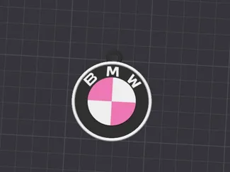 BMW PINK KEYCHAIN