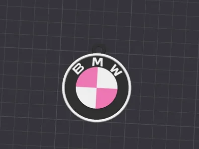BMW PINK KEYCHAIN