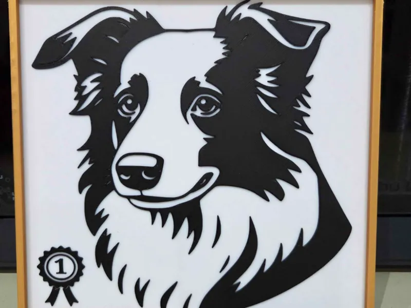 No1 Boarder Collie