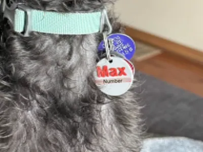 Customizable Dog / Cat Tag