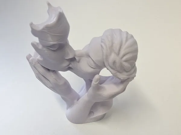 https://makerworld.bblmw.com/makerworld/model/US89a017d118c902/design/494898052fbff49c.jpg