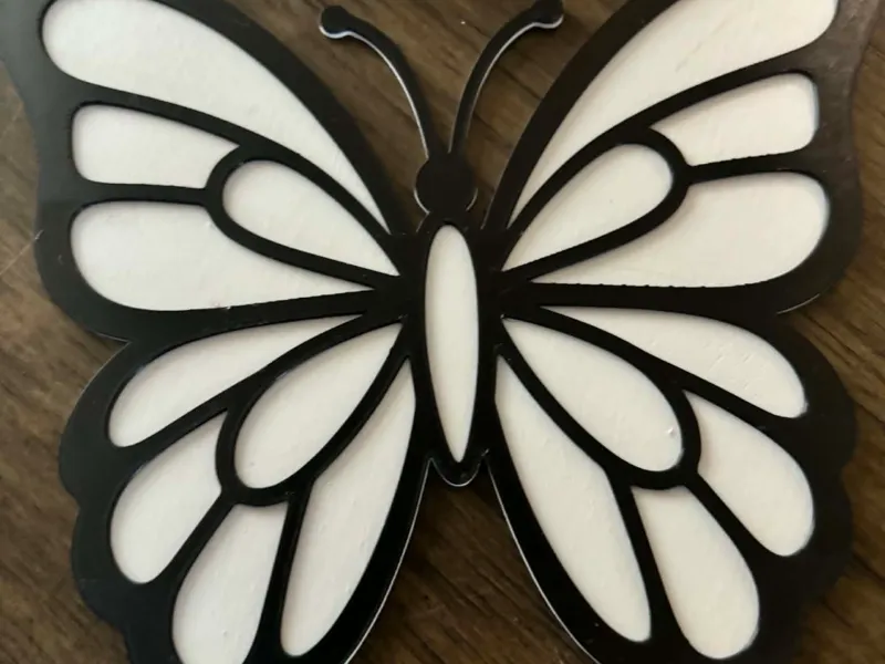 Butterfly coloring print