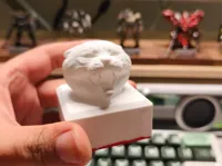 0.2mm layer, 2 walls, 40% infill