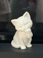 猫猫舔肉垫