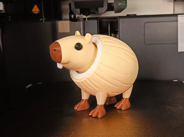 https://makerworld.bblmw.com/makerworld/model/US89b1537a707581/design/2025-06-10_03e46cb01a975.jpg