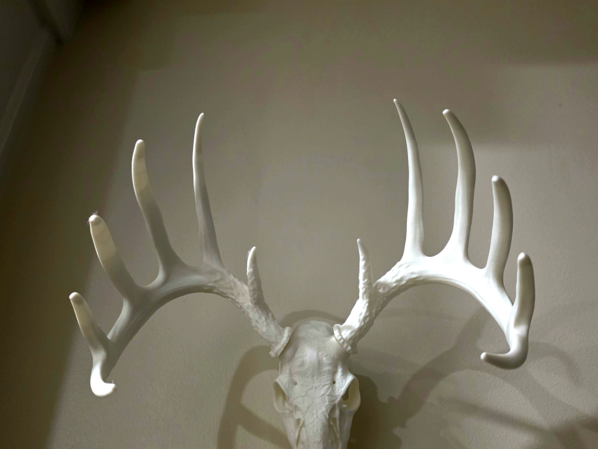"Typical 12" Antler Set