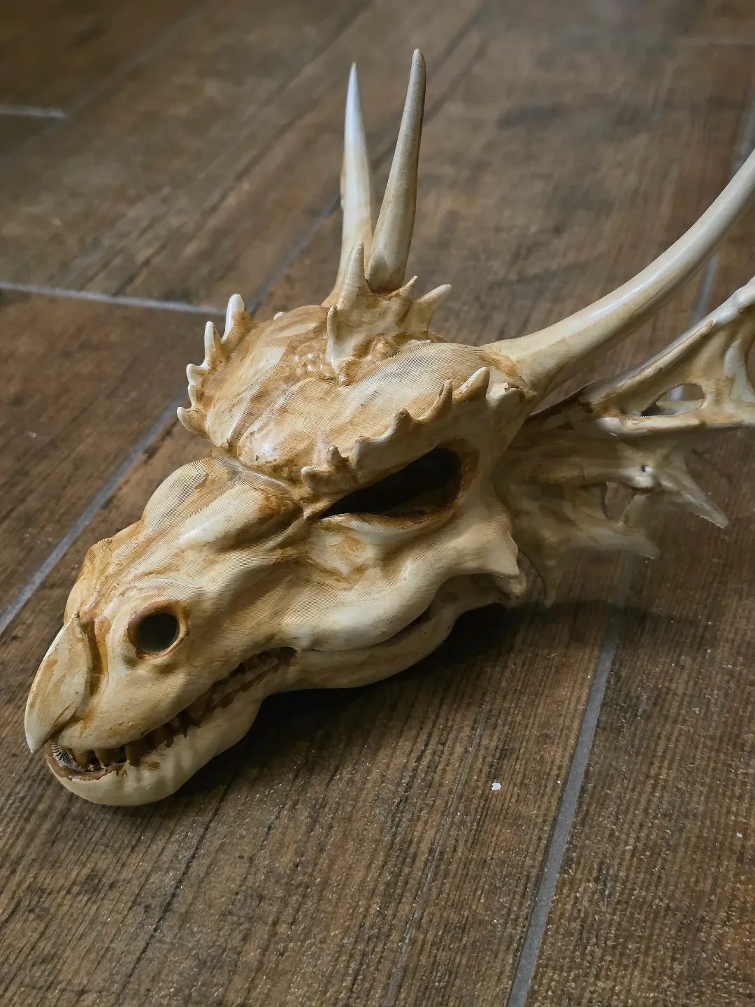 The Last Dragon Skull view 2