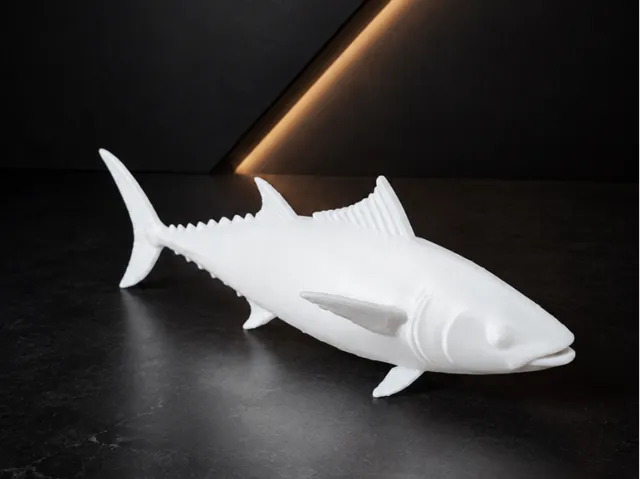 Tuna fish