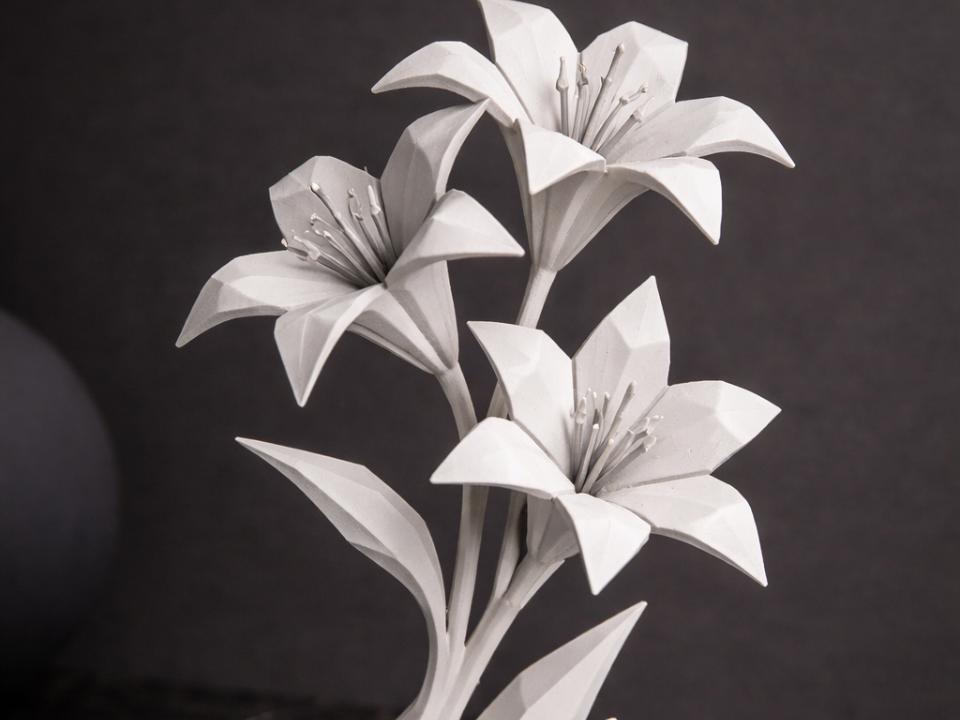 Lily Flower