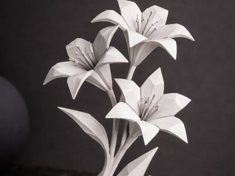 Lily Flower