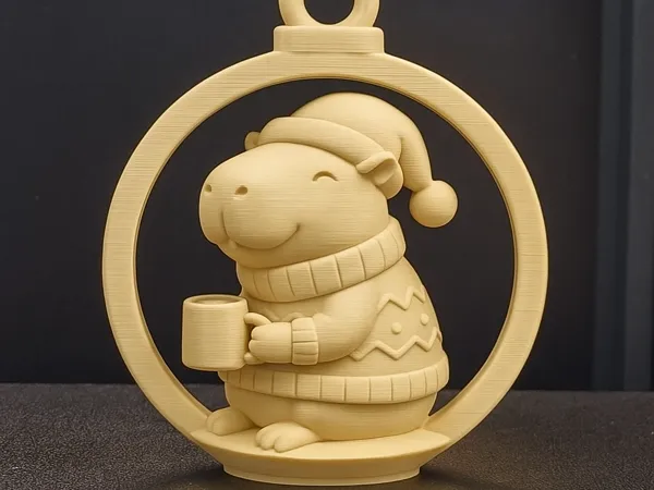 https://makerworld.bblmw.com/makerworld/model/US89be2c97f0e24c/design/2025-11-26_75f00bb2ee3178.png
