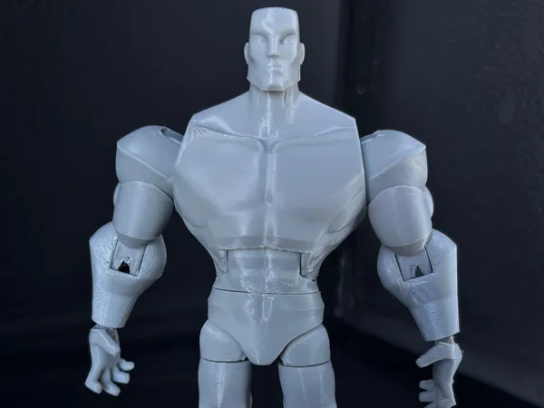 https://makerworld.bblmw.com/makerworld/model/US89bfd0cefeb05/design/2025-02-01_3fe29bd3c7c78.jpg