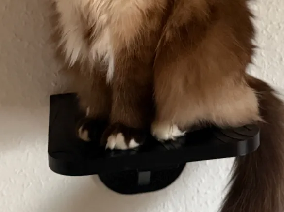 Katzenstufe
