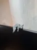 0.12mm layer, 2 walls, 15% infill