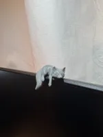0.12mm layer, 2 walls, 15% infill