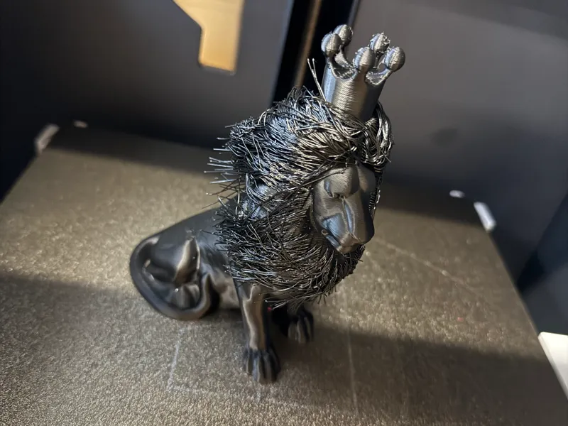 Hairy Lion 