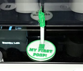 My First Poop Sign/Trophy